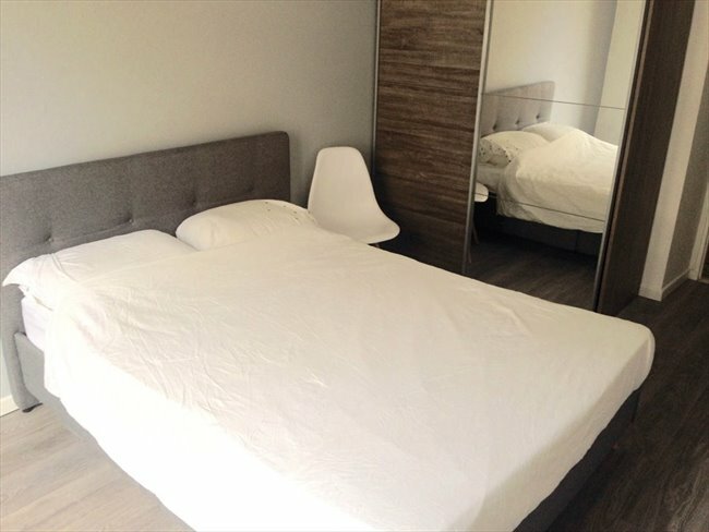 Colocation Paris 247583