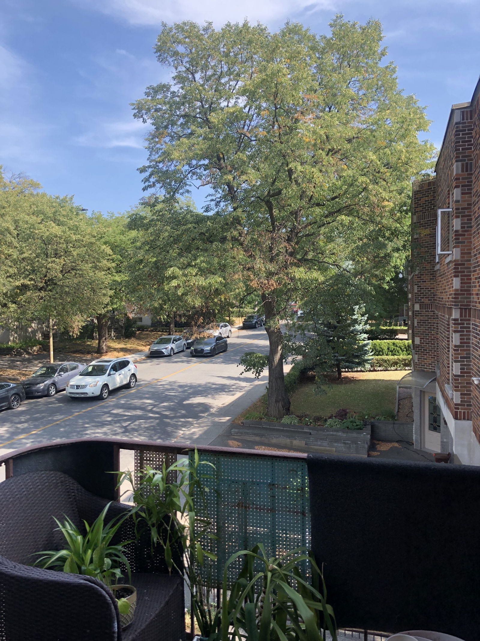 Colocation Montréal 252349