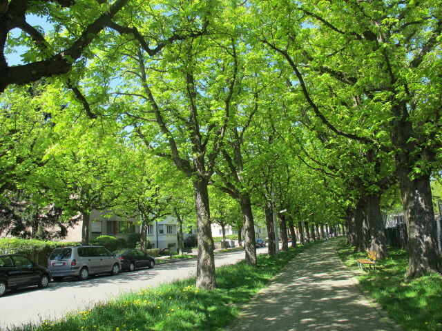 Logement Entier Bâle 62317