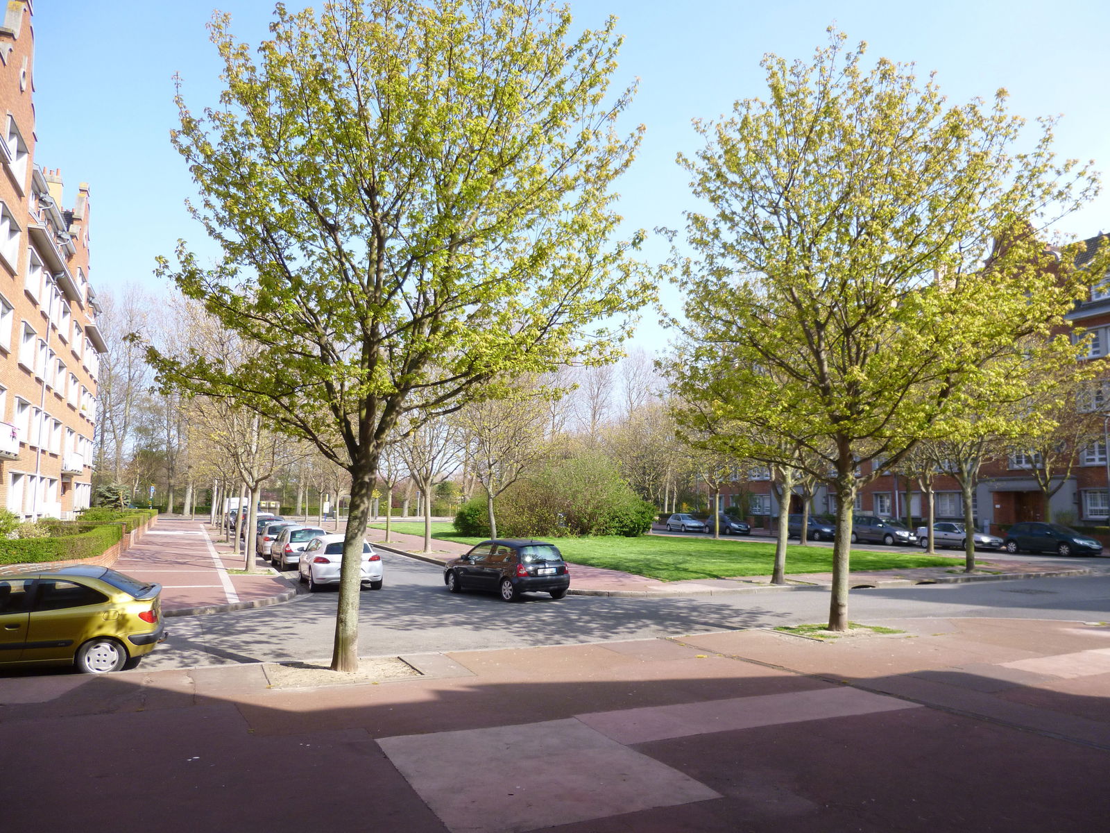 Onafhankelijke Studio Calais 76462