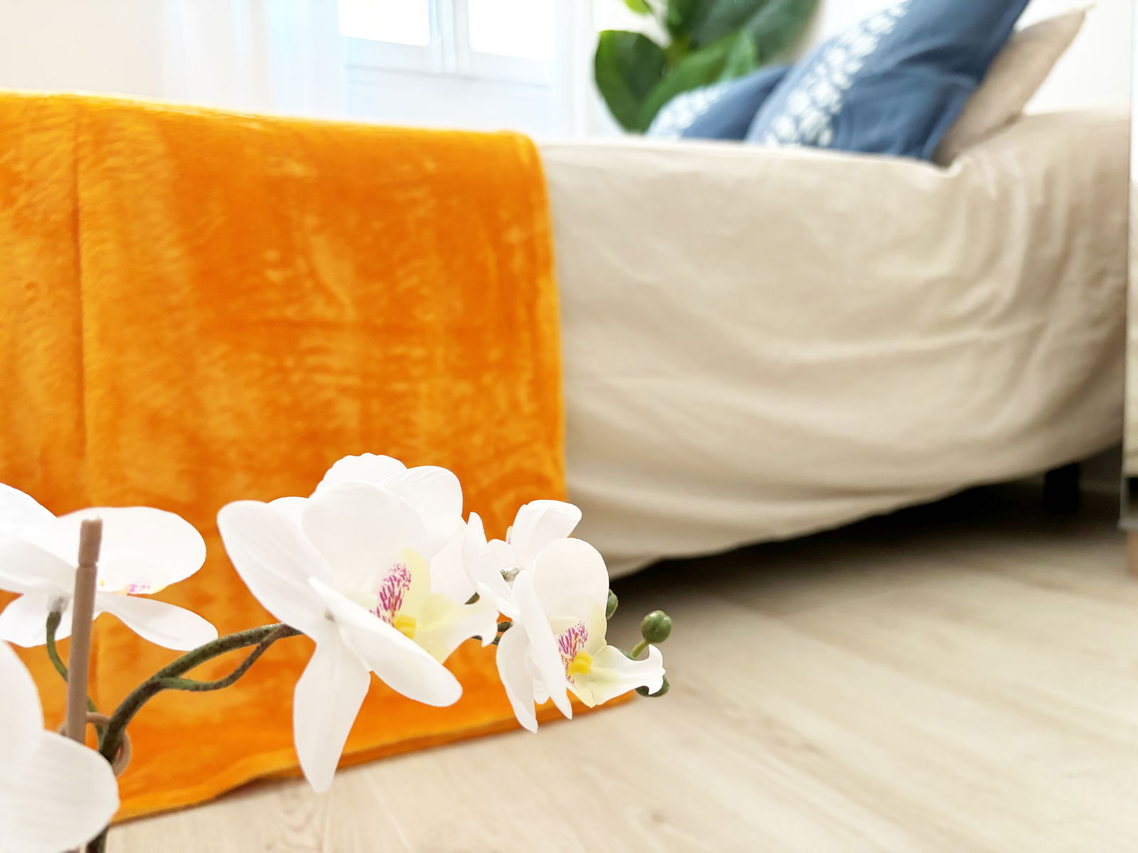 Chambre Chez L'habitant Madrid 468461