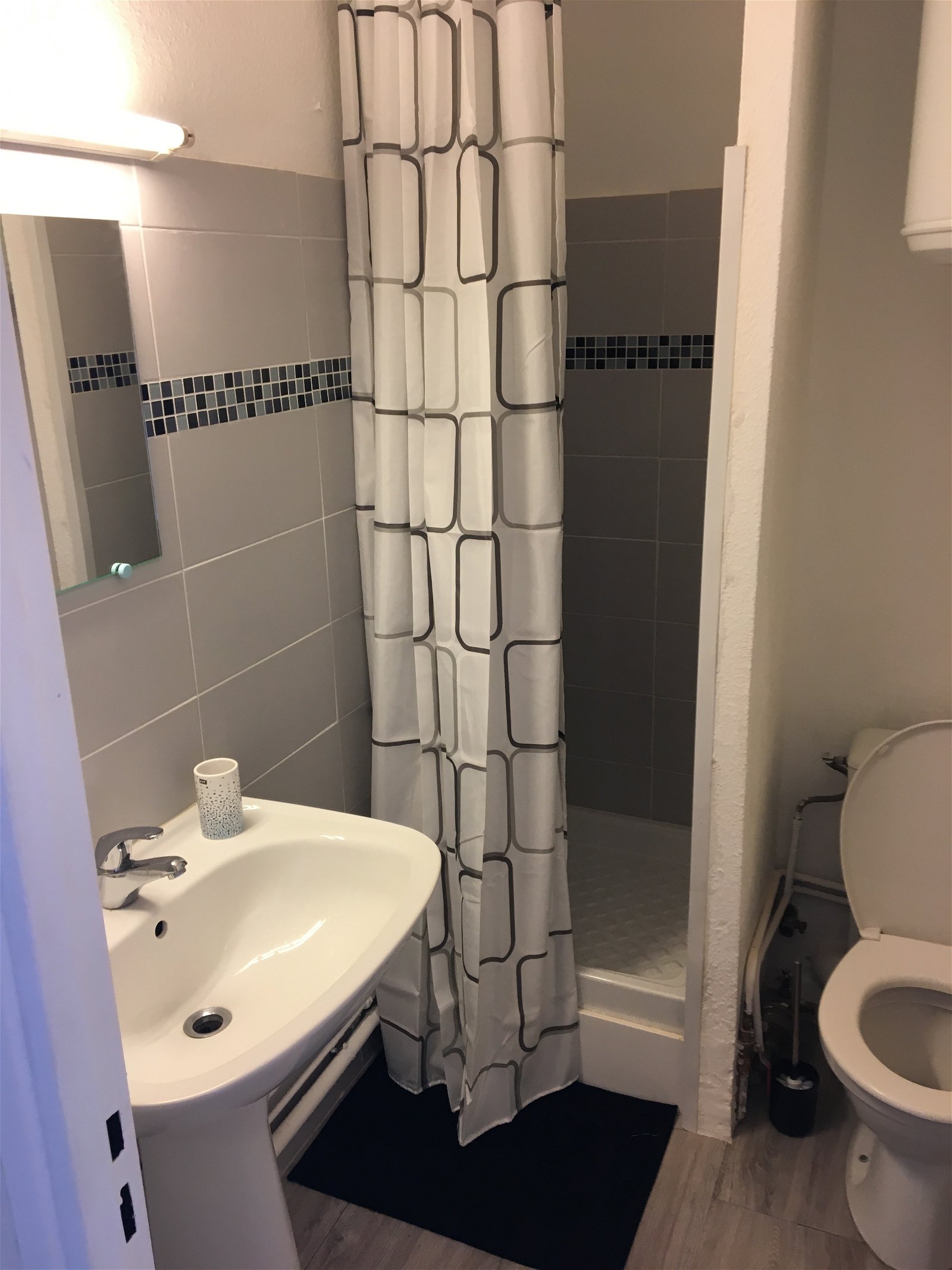 Logement Entier Toulouse 253117