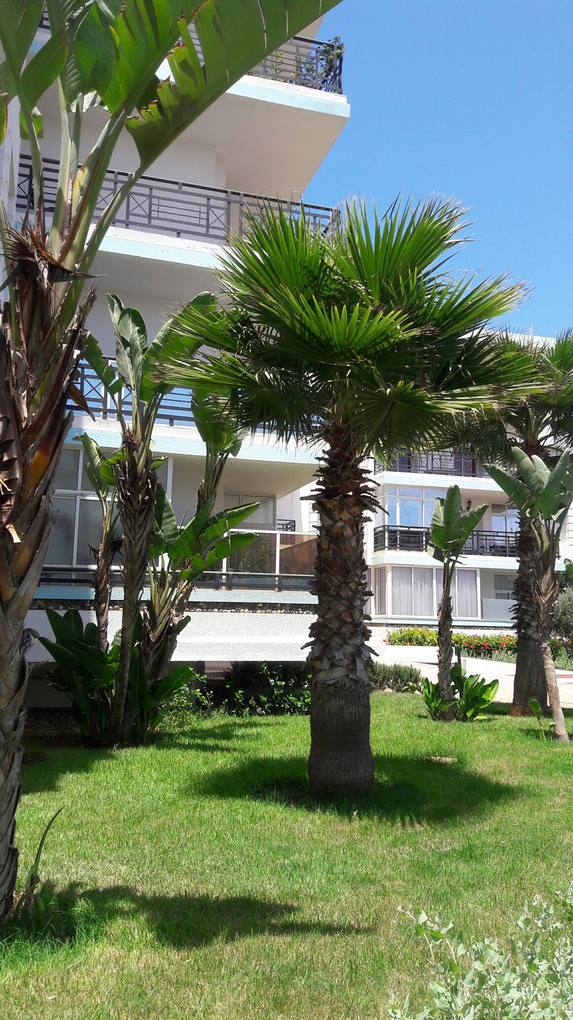 Logement Entier Mohammédia 259514