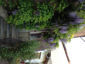 Chambre À Louer Saint-Julien-En-Genevois 165115