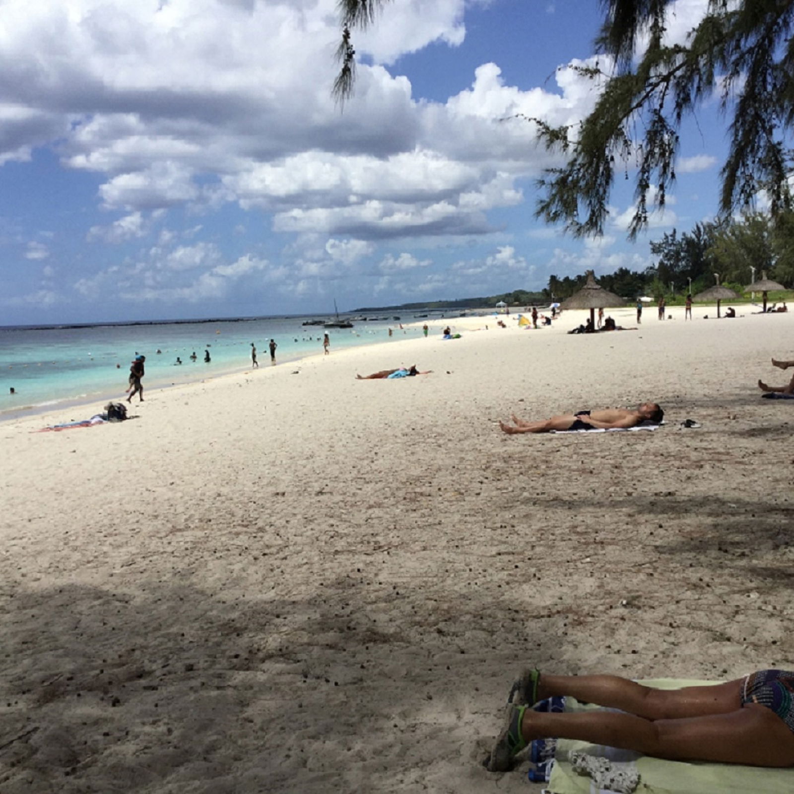 Estúdio Independente Flic en Flac 176558