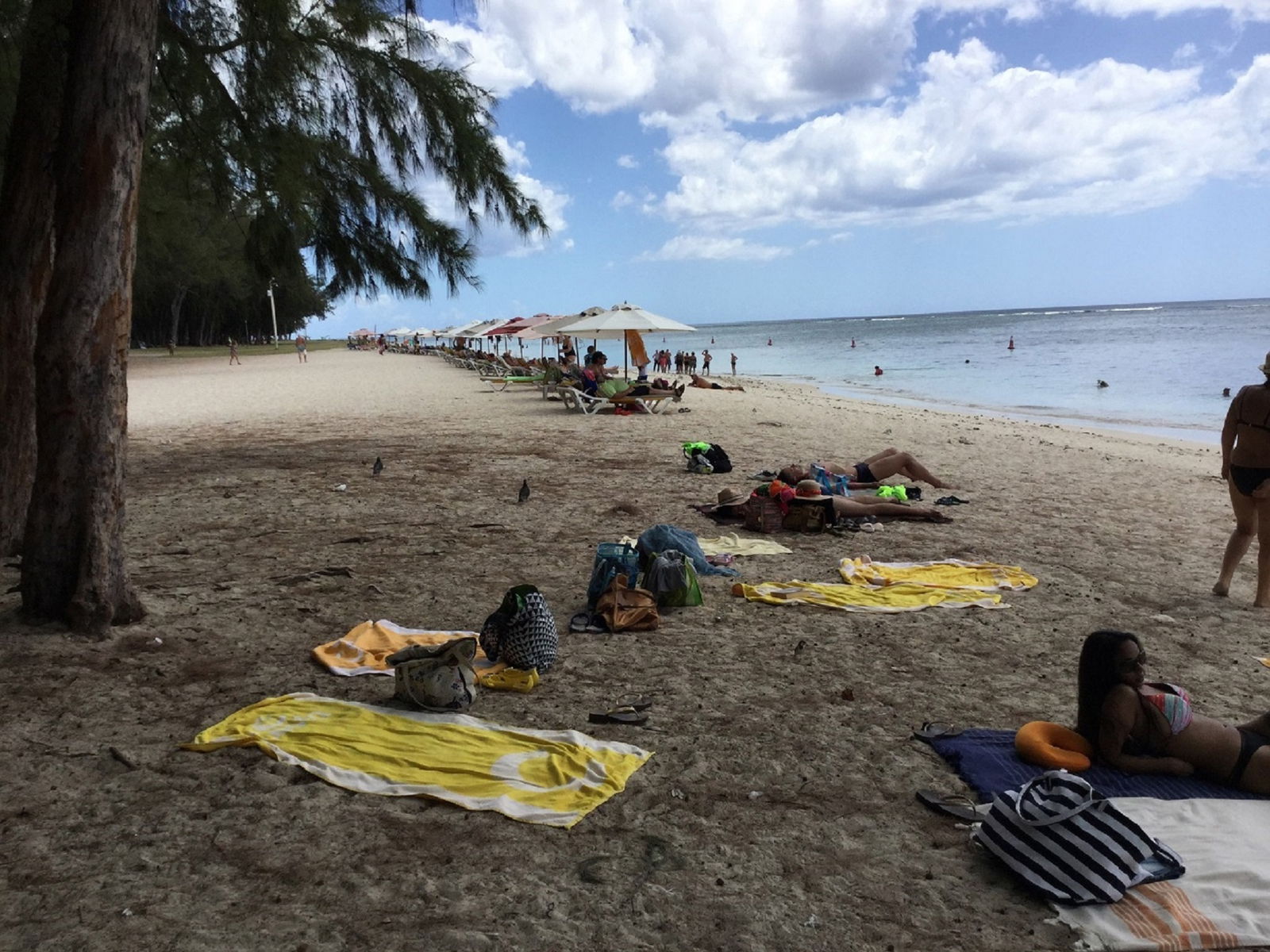 Estúdio Independente Flic en Flac 176558