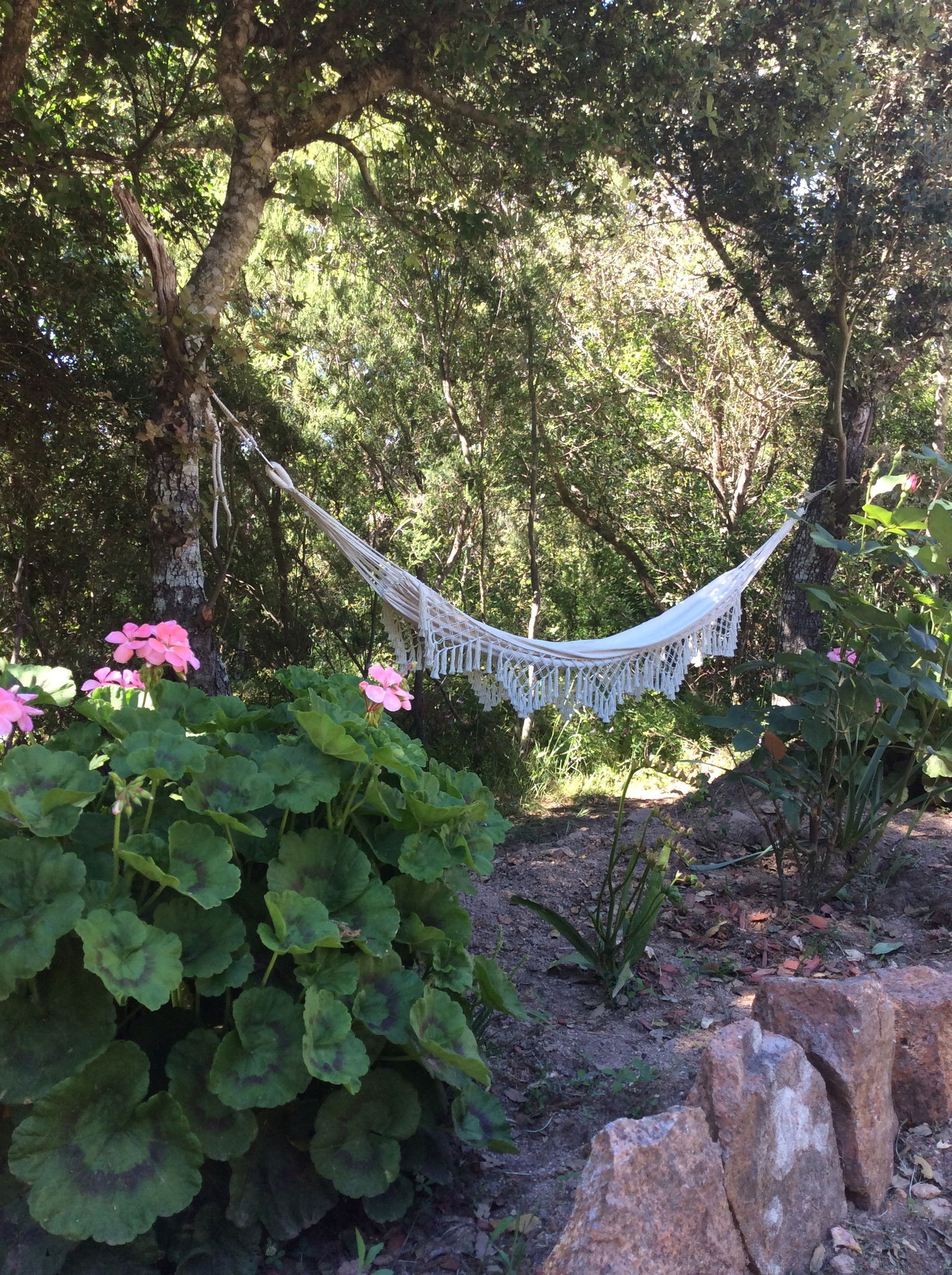 Tutta La Casa Porto-Vecchio 178201