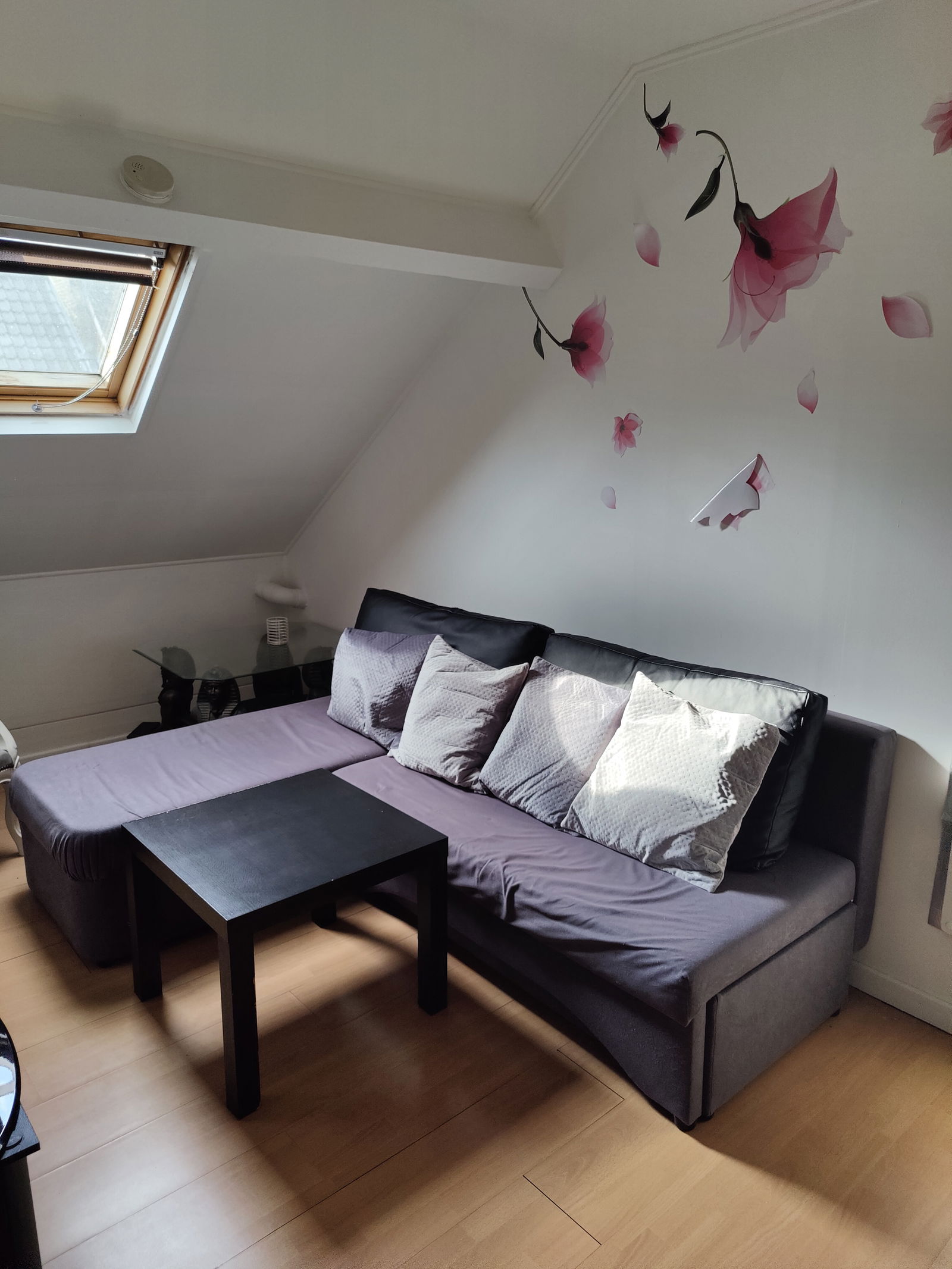 Tutta La Casa Mons 115035