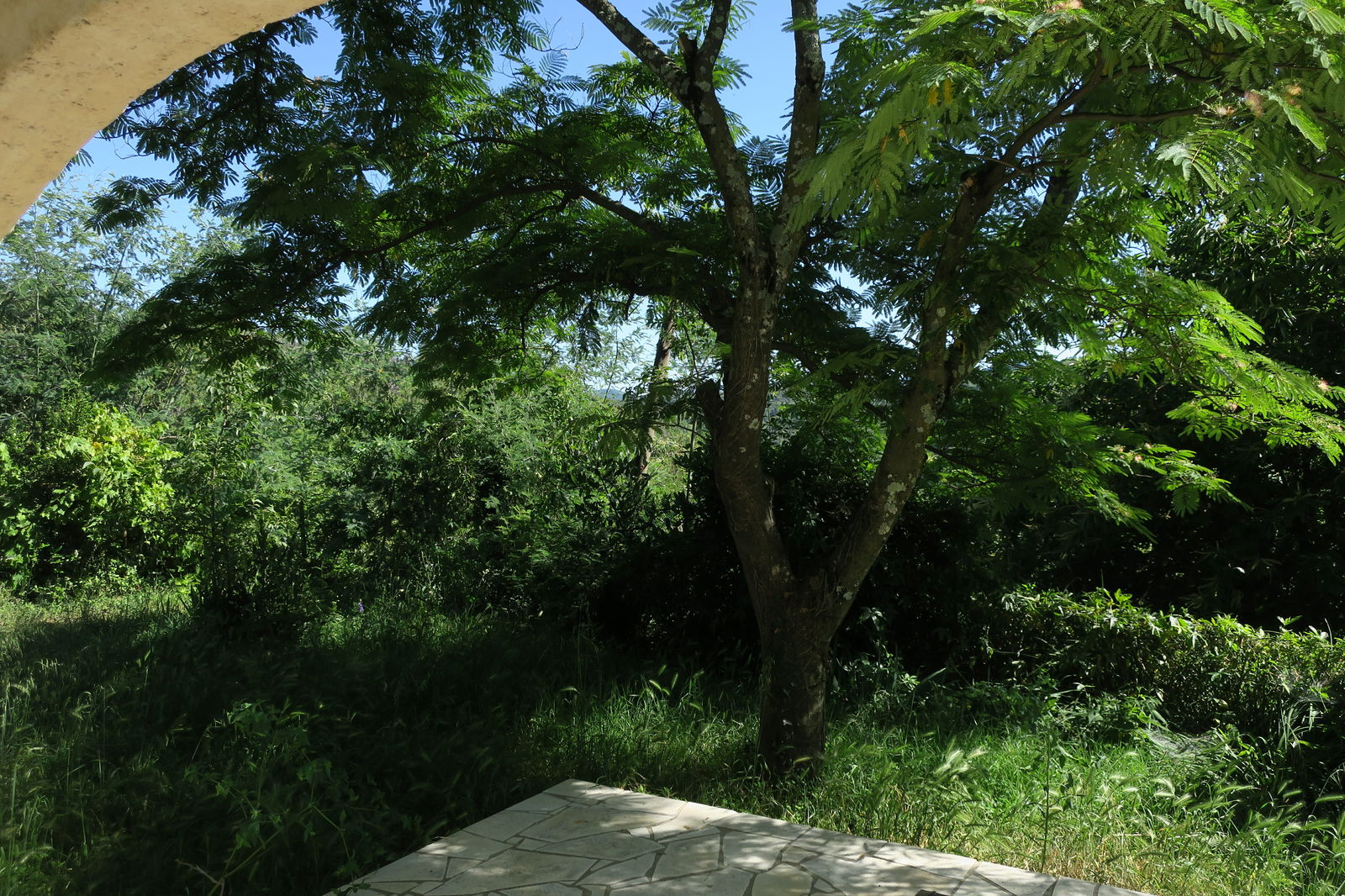 Tutta La Casa Mandagout 238759