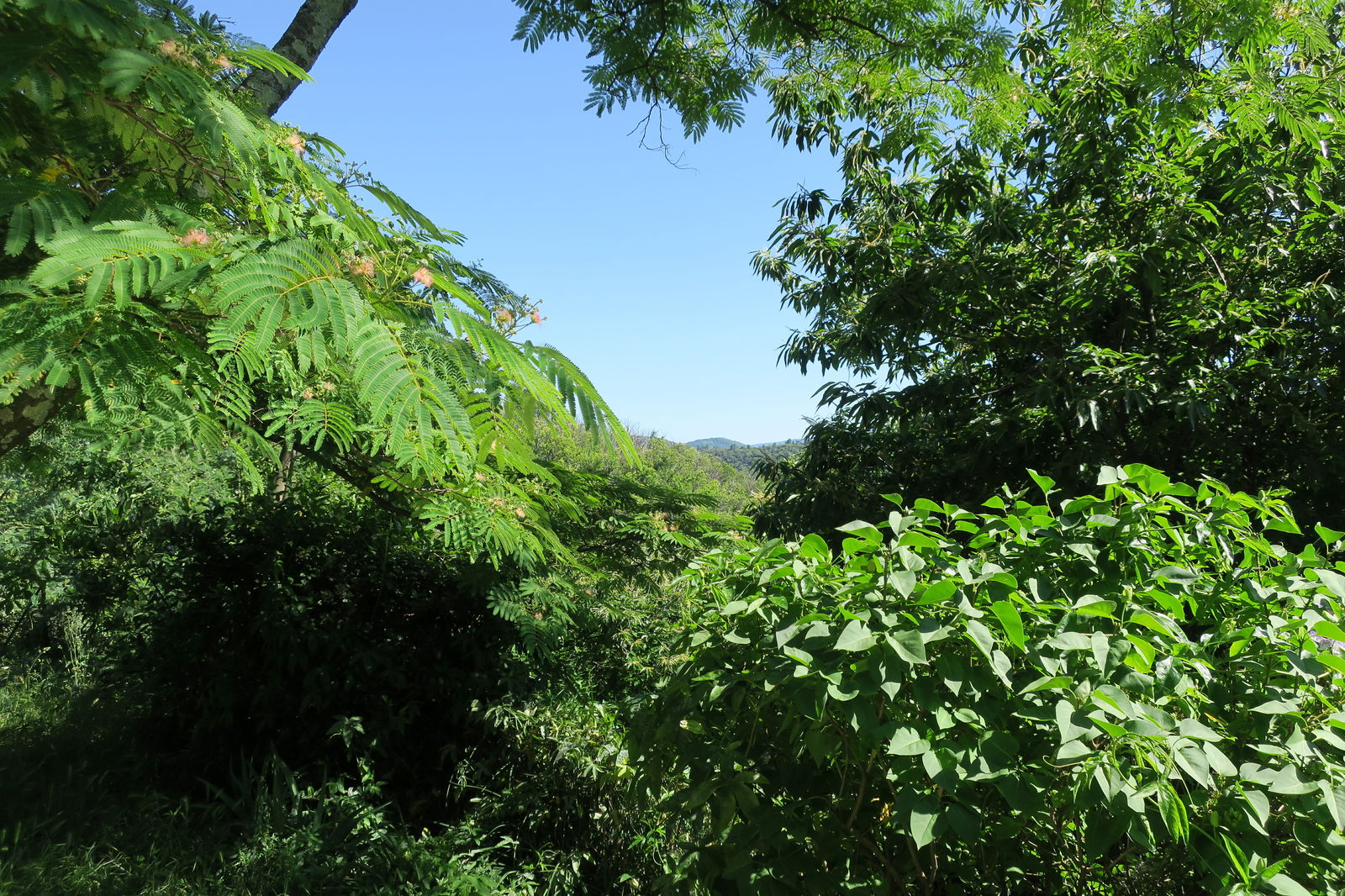 Tutta La Casa Mandagout 238759