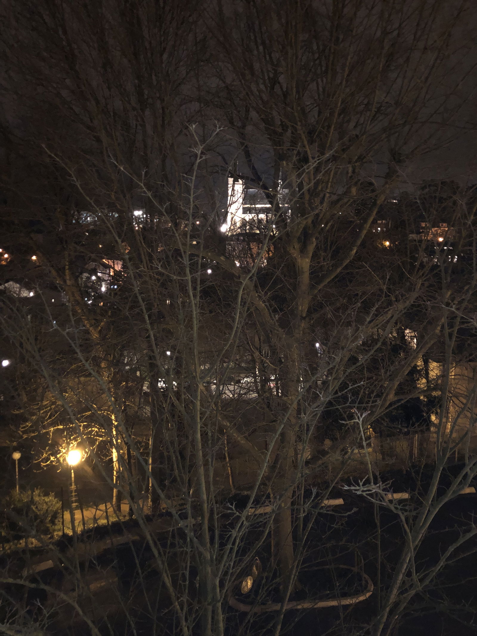 Famiglia Montmorency 255830