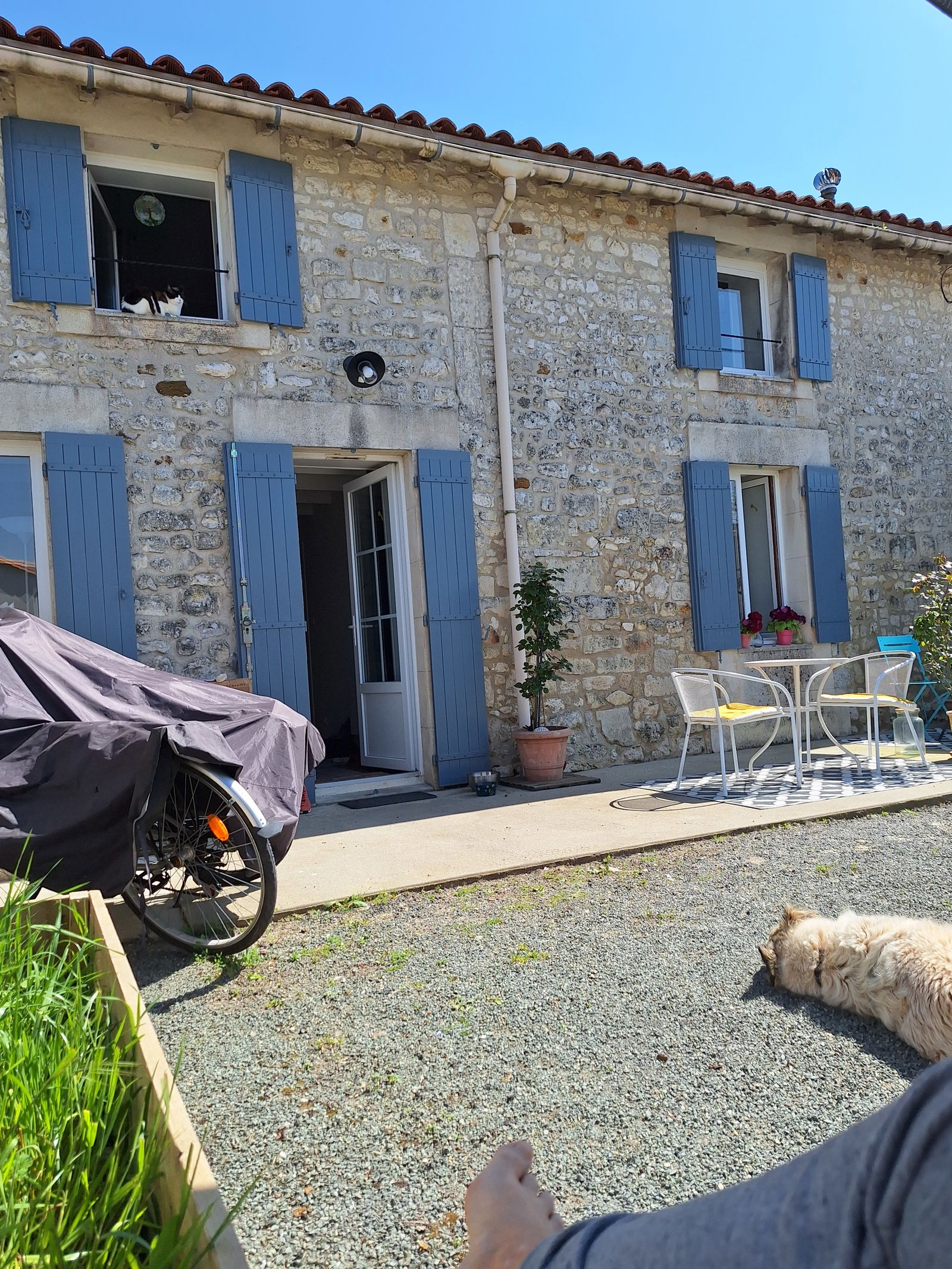 Famiglia Jonzac 628632