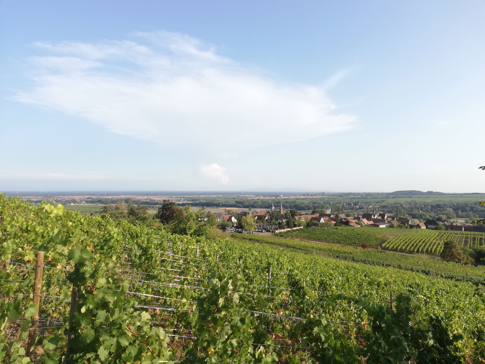 Collocazione Châtenois 259769