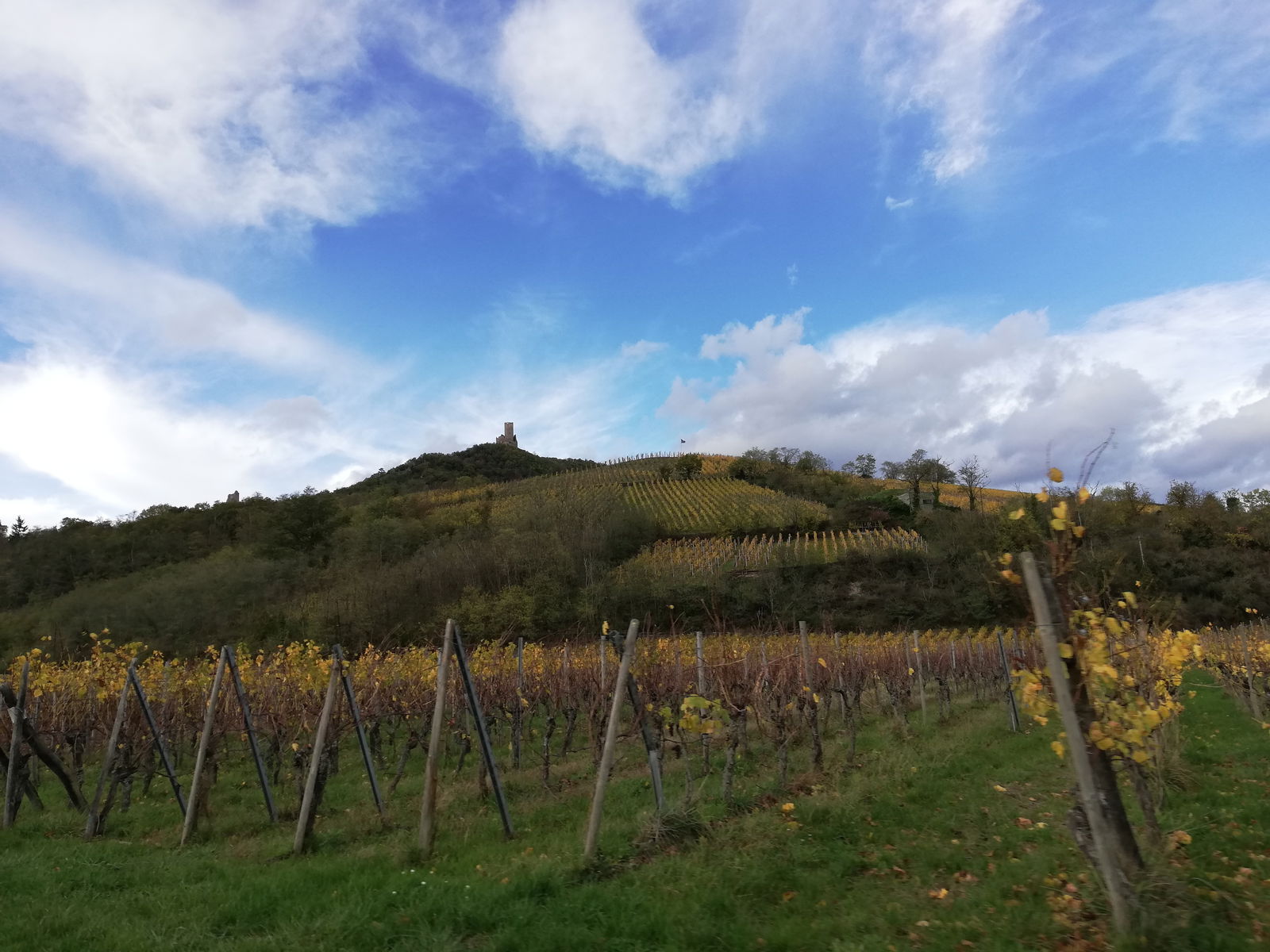 Collocazione Châtenois 259769