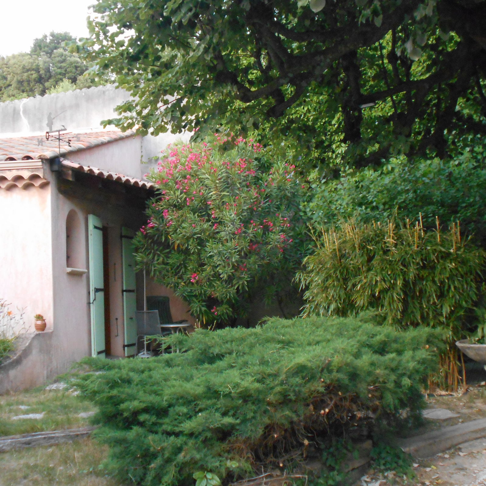 Famiglia Donzère 112863