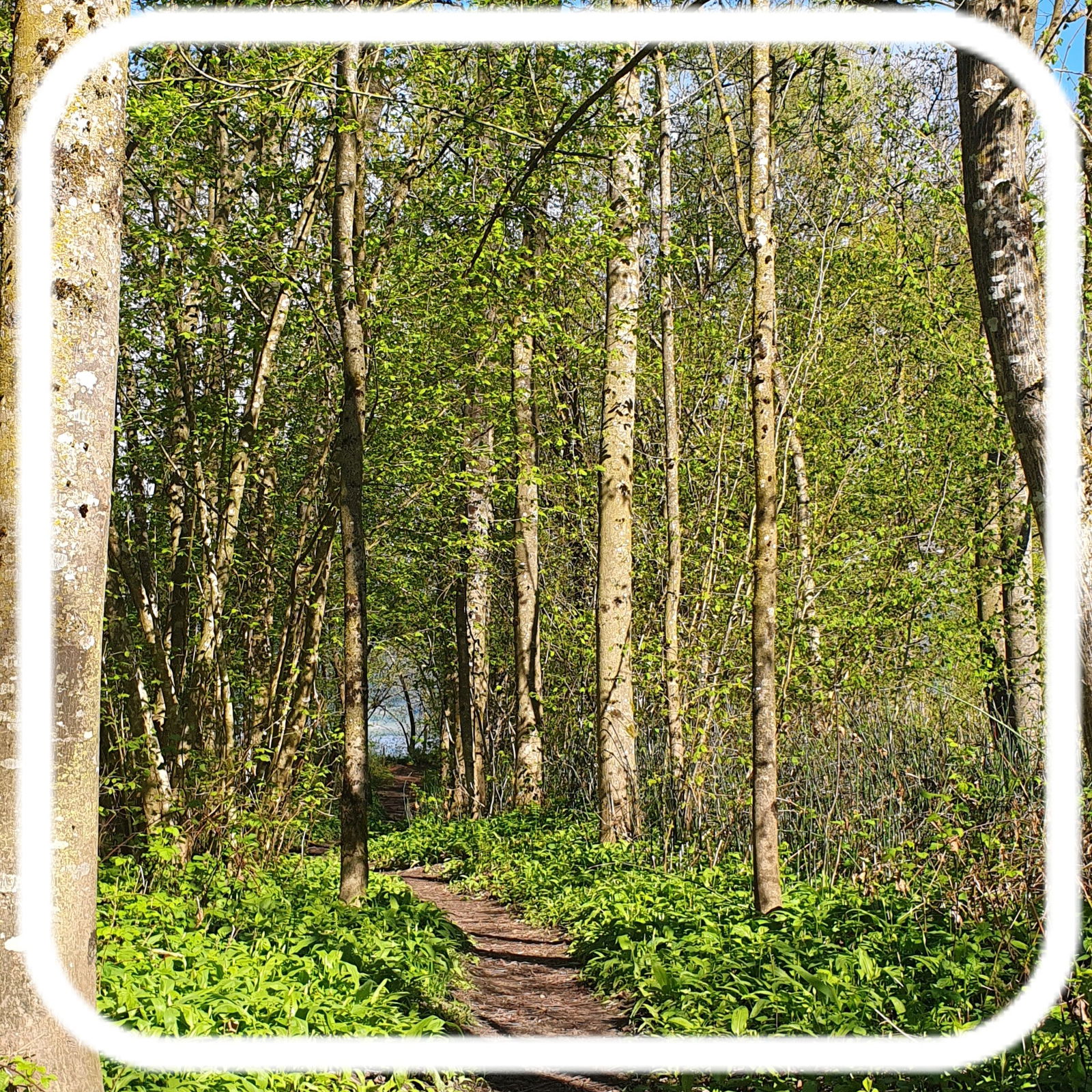 Famiglia Cheyres-Châbles 582640