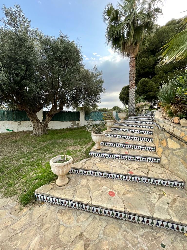 Tutta La Casa El Campello 258781