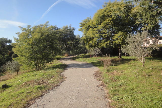 Tutta La Casa Cannes 54309