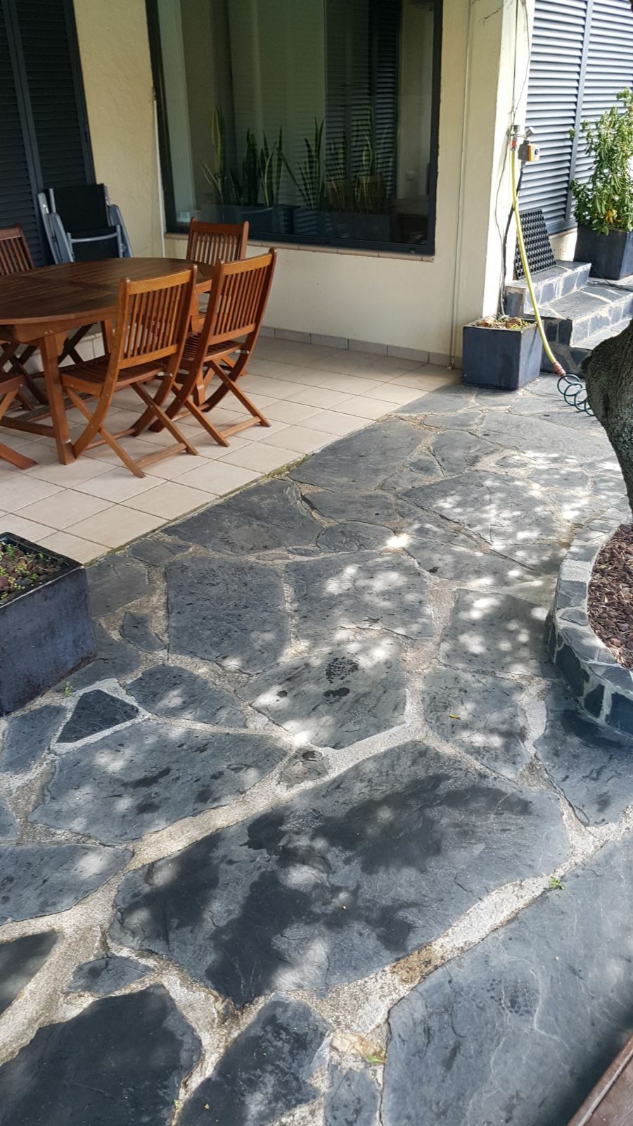 Famiglia Roses 167560