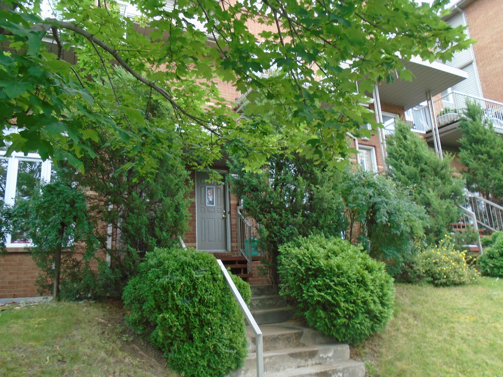 Collocazione Montréal 194747