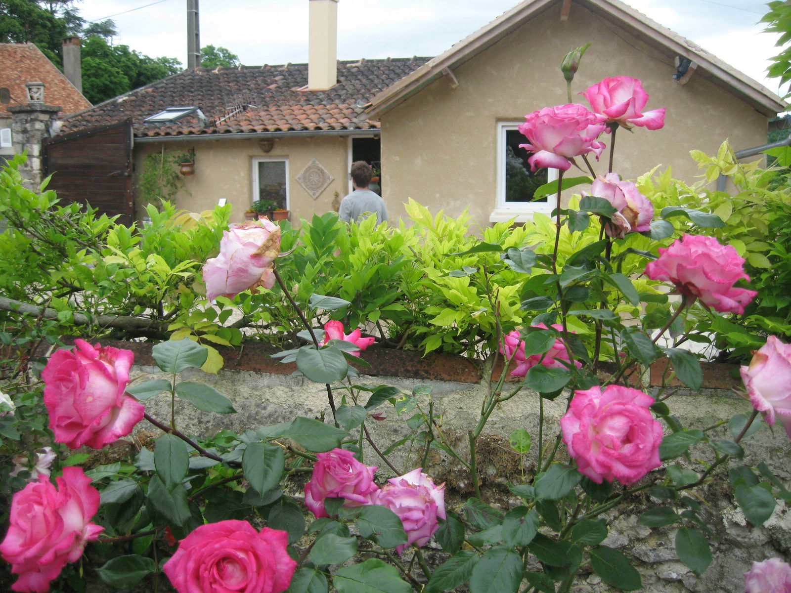 Famiglia Le Pêchereau 234974