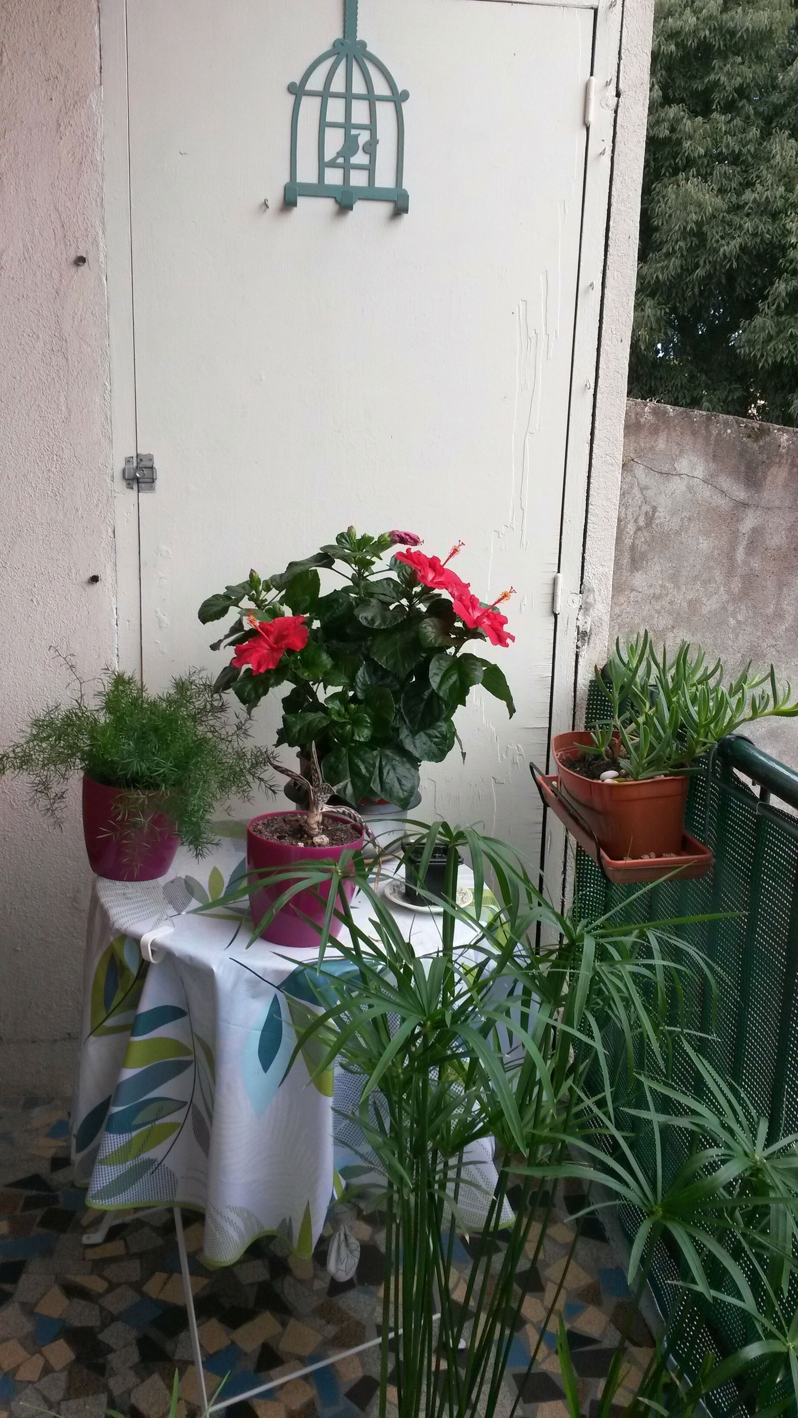 Tutta La Casa Nîmes 34462