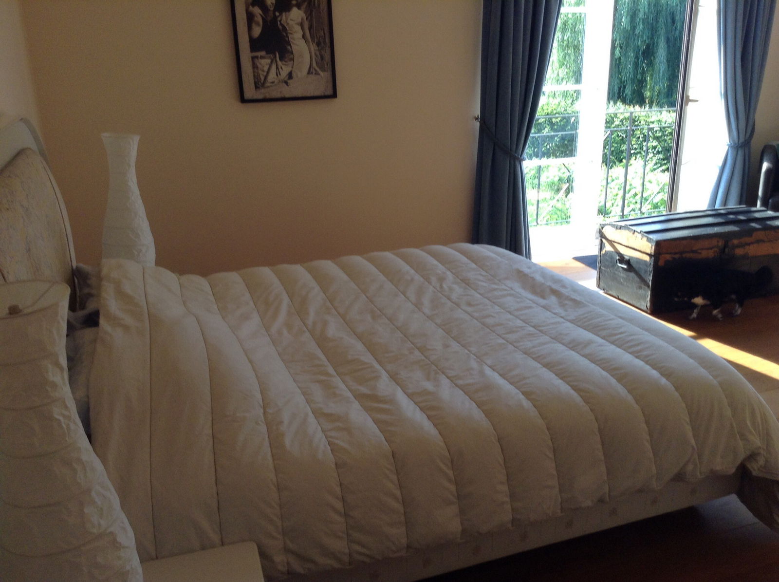 Famiglia Dilbeek 80423