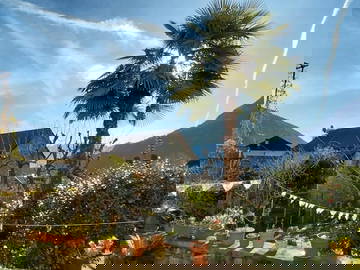 Wohngemeinschaft Terre Di Pedemonte 660283-3