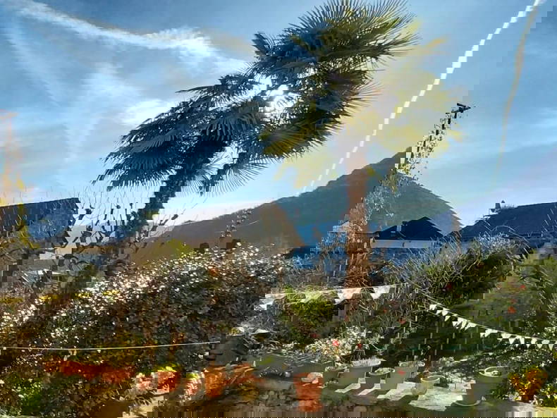 Colocation Terre di Pedemonte 660283-3