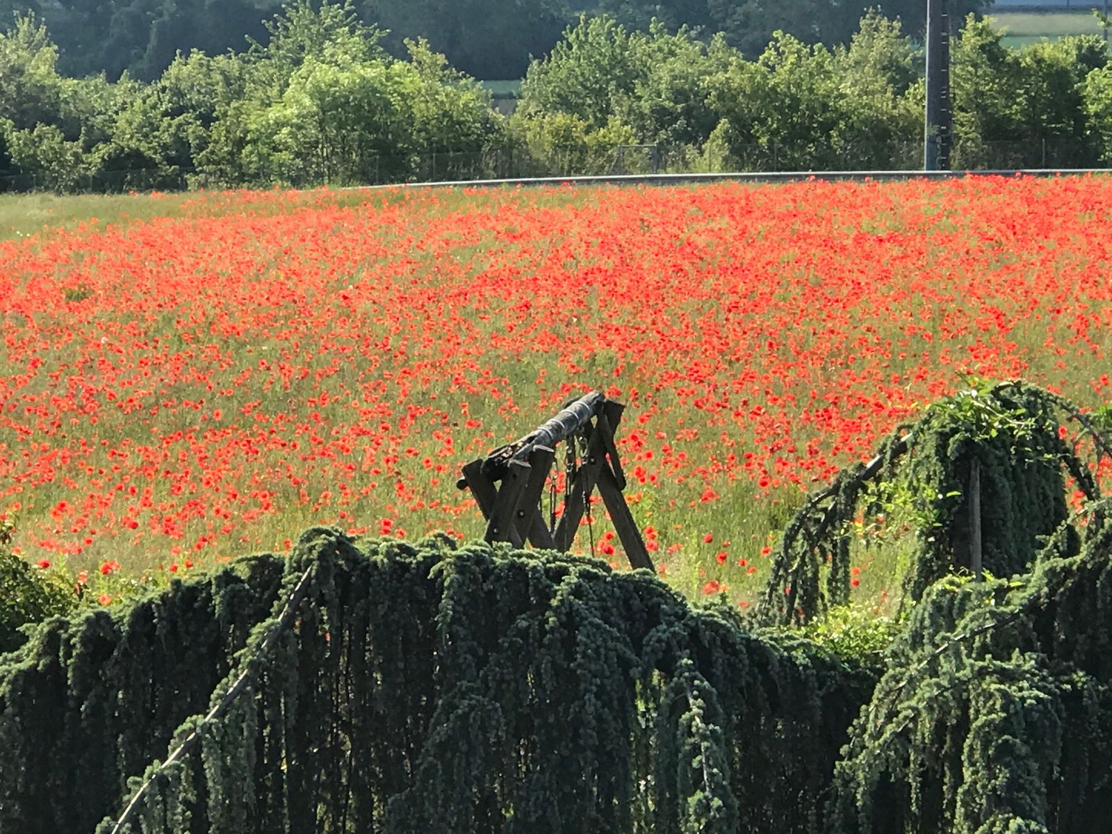 Famiglia Plan-les-Ouates 224450