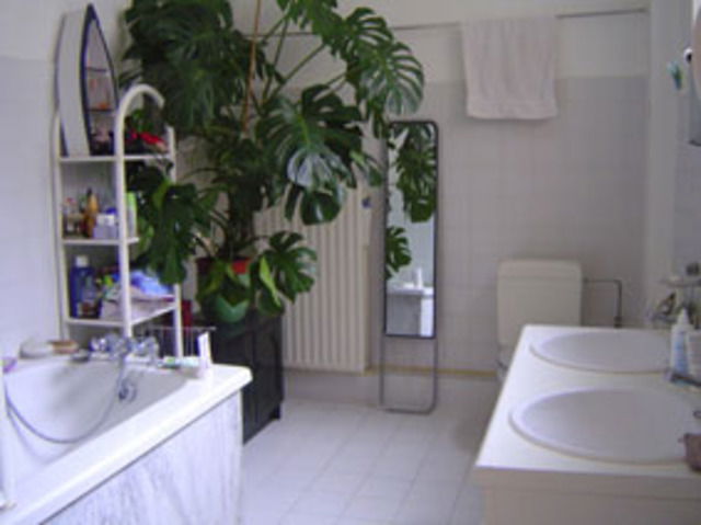 Collocazione Bruxelles 19738