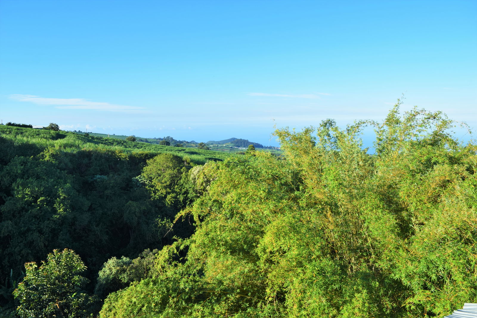 Collocazione Saint-Pierre 248889