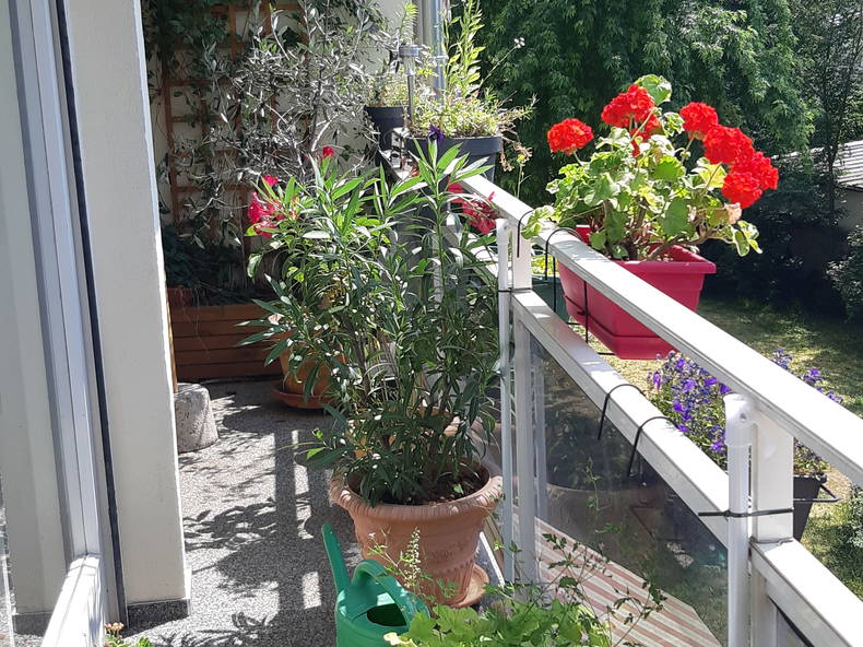 Gastfamilie Illkirch-Graffenstaden 268415-4