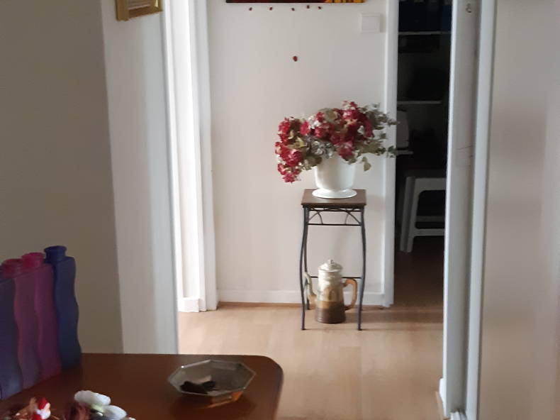 Gastfamilie Illkirch-Graffenstaden 268415-3