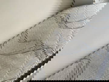 Colocation Montréal 252701-7