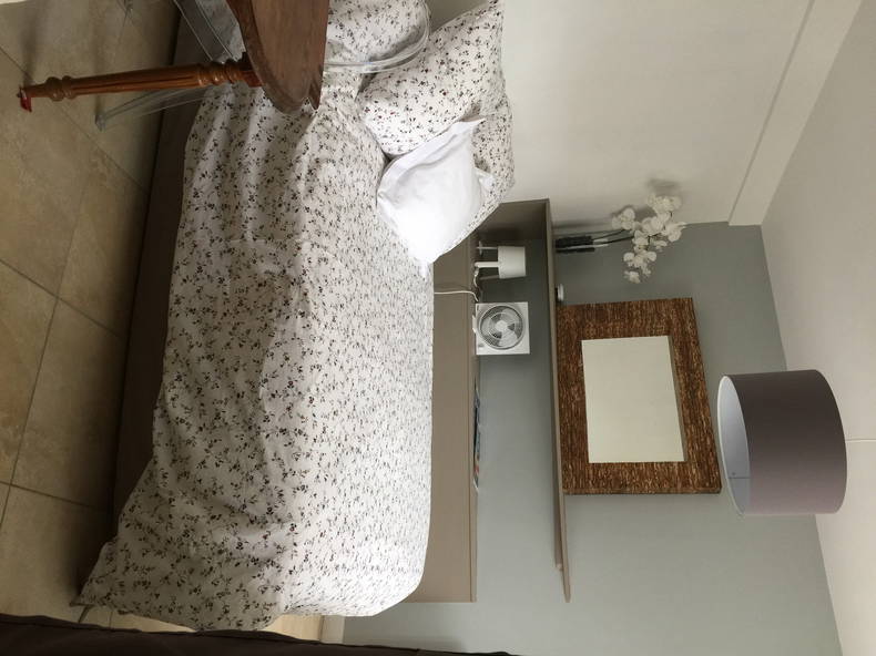 Chambre Chez L'habitant Beaugency 174268-2