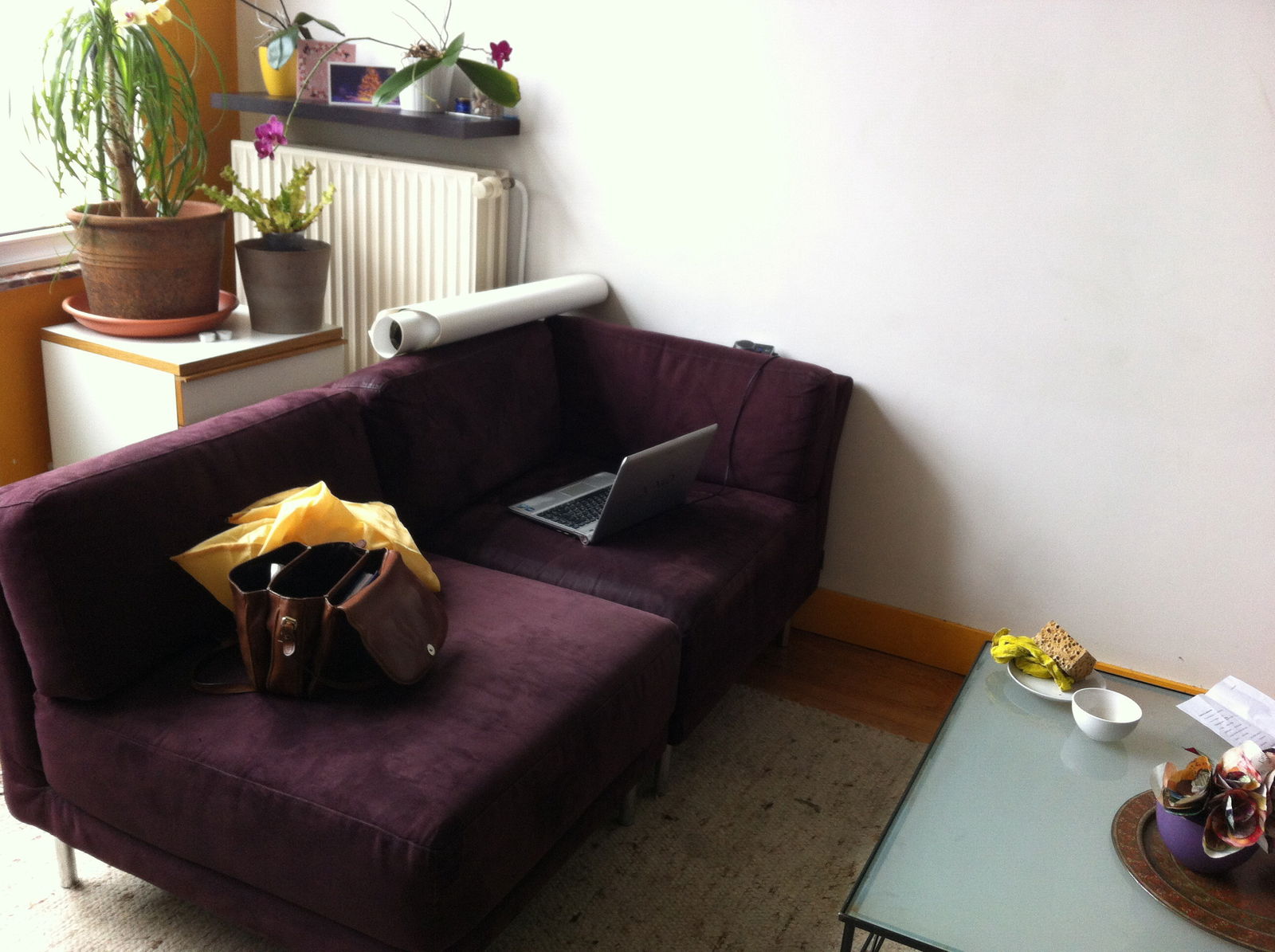 Colocation Forest 157811