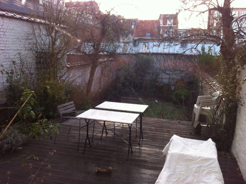 Colocation Forest 157811-5