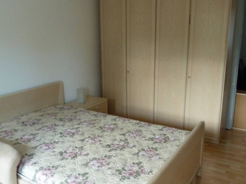 Kolokasie Saint-Louis 647346-2