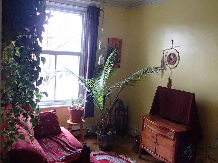 Homestay Montréal 160484