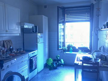 Chambre d'hôte à louer à Genève - photo 8-8