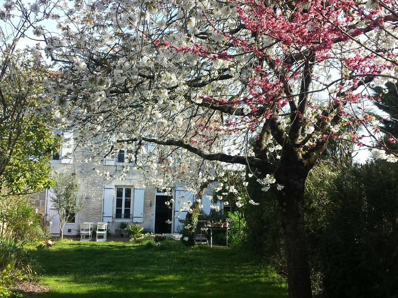 Quedarse En Casa Niort 167274-2