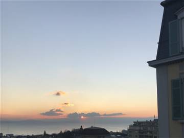 Colocation Lausanne 264512-9