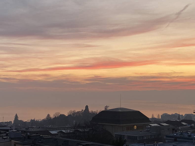 Kolokasie Lausanne 264512-4