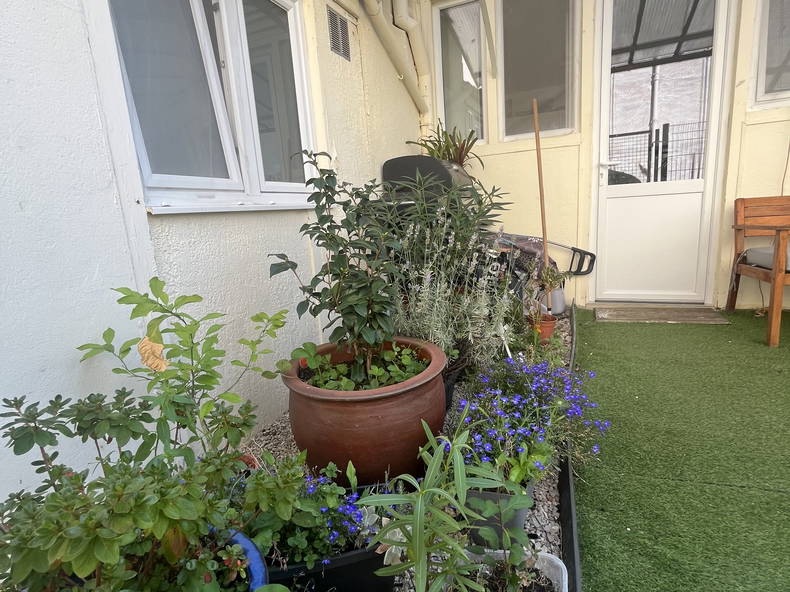 Kolokation Athis-Mons 256811-3