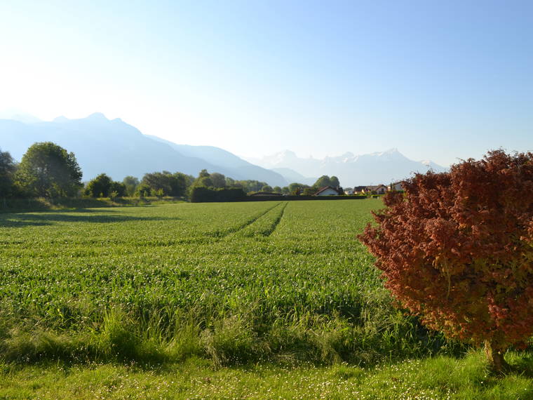 Homestay Port-Valais 168277