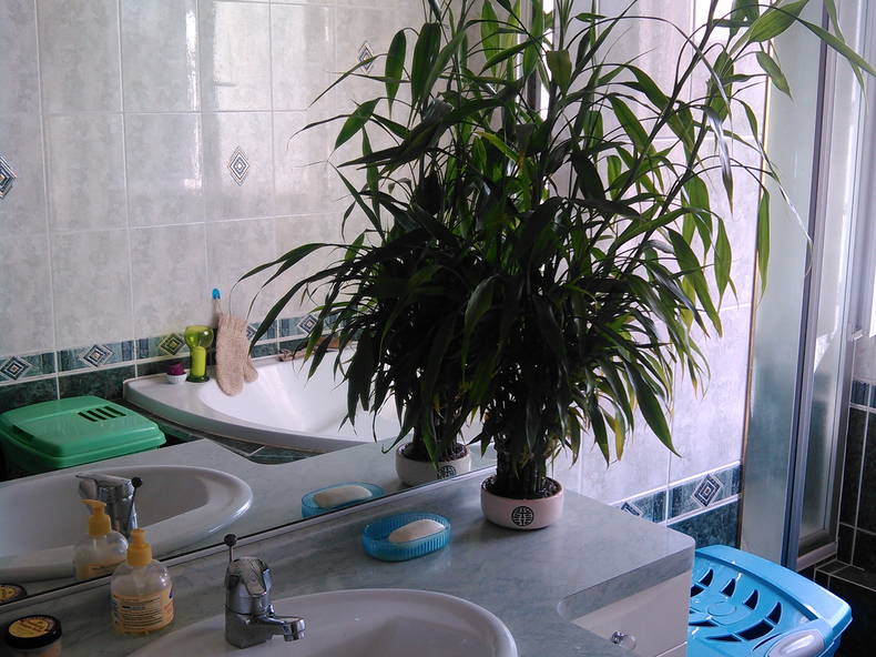 Homestay Sannois 336304-3