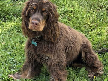 Chambre Chez L'habitant Montreux 651238-7