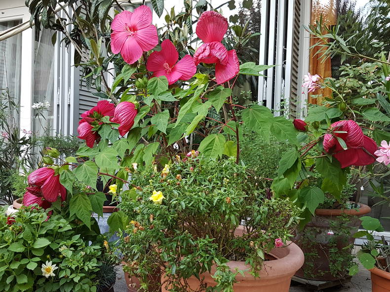 Chambre Chez L'habitant Chavannes-des-Bois 231826-2