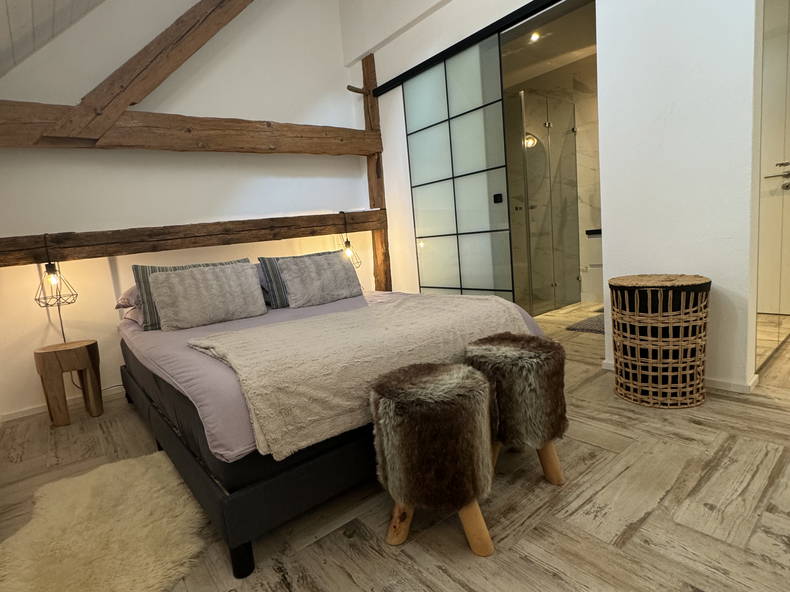 Kolokasie Fétigny 426607-2